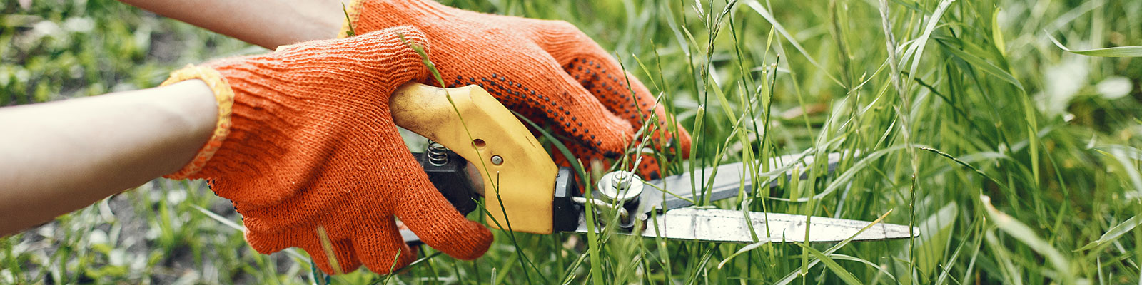 GARTENARBEIT UND UMWELTDIENSTE